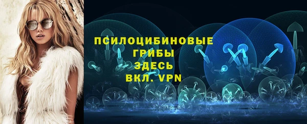 прущая мука Алзамай